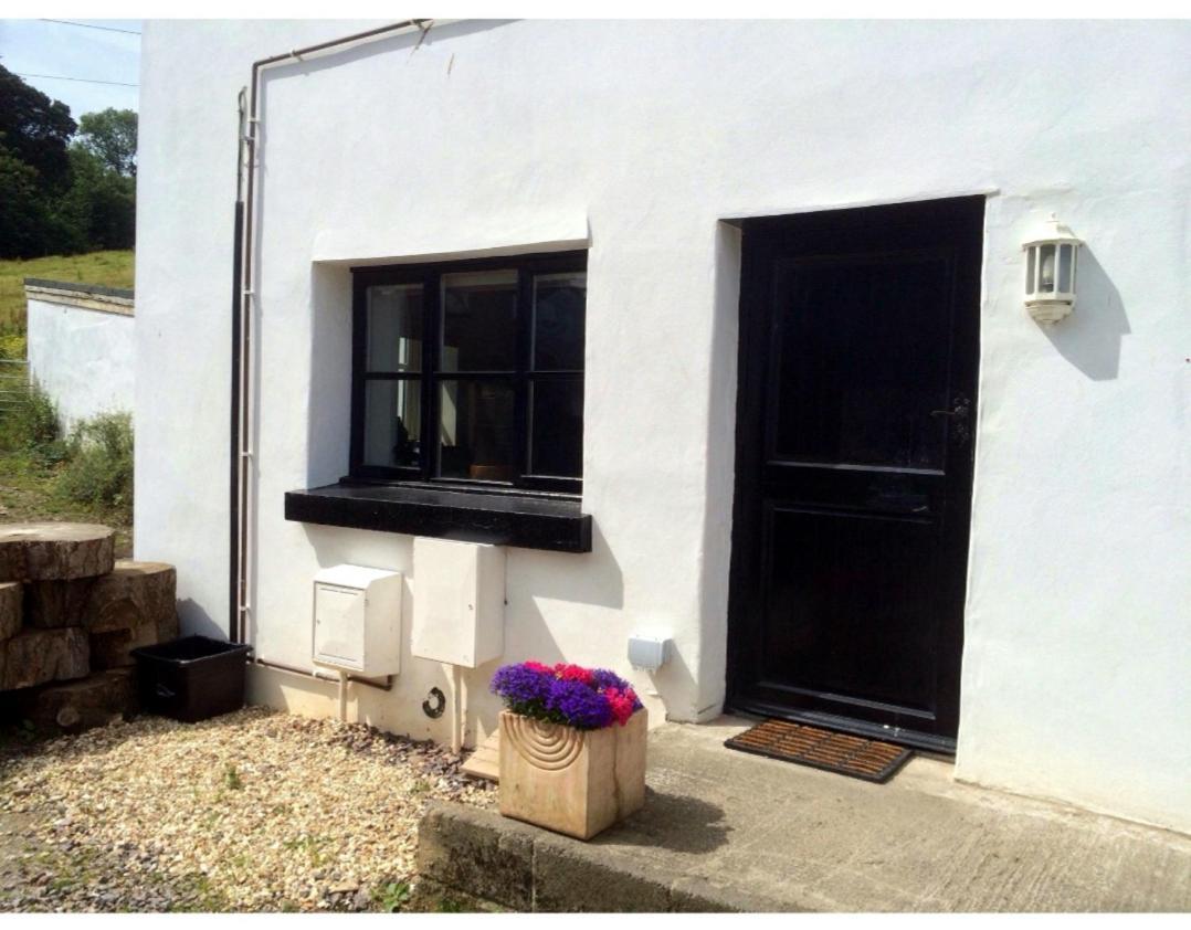Laston Mews 伊尔弗勒科姆 外观 照片